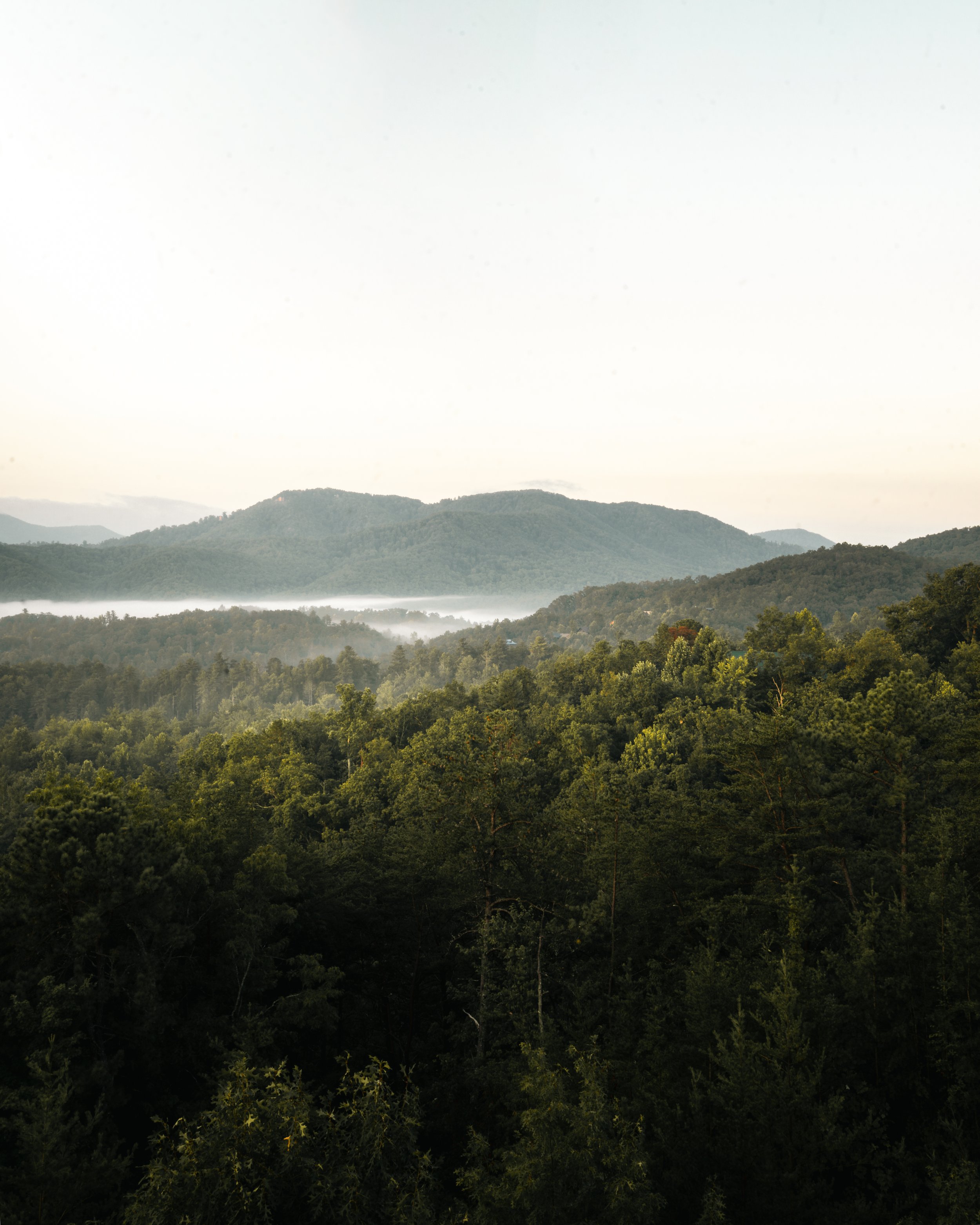 Landscape of green, forested mountains under a pale sky.